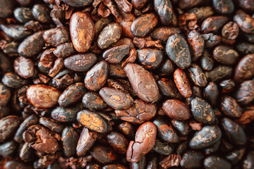 coffee beans detailed texture