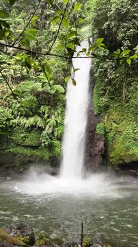 Curug Sawer, also known as Sawer Waterfall, surrounded by lush greenery, offering a refreshing and natural environment. Located within Situ Gunung in Sukabumi Regency, Indonesia.