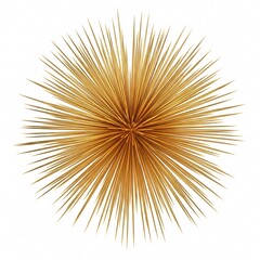 Obraz premium A glossy golden star with radiating rays,