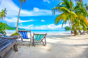 tropical beach with coconut palm trees