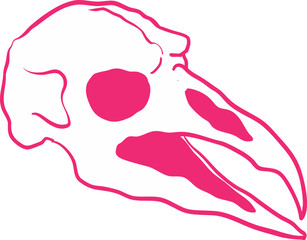Crow Skull Illustration, Mystic Raven Skull Symbol of Prophecy and Witchcraft. Perfect for gothic design, halloween art, occult aesthetics, and dark magical decor.