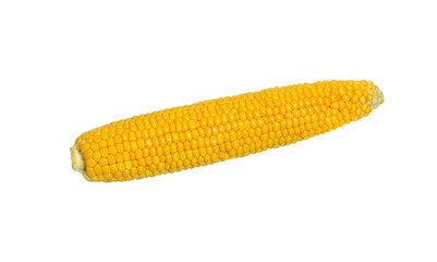Corn on the cob isolated on white
