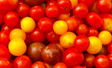 Bunch of red and yellow tomatoes