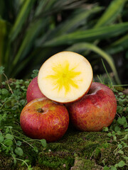 Fresh Red Apples with Star Pattern Cross Section on Mossy Ground in Natural Garden Setting