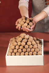 Dried Longan Fruit in Hands - Traditional Asian Ingredient from Yunnan China