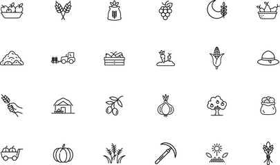 Harvest agriculture icon