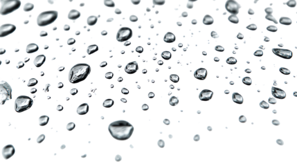 A collection of transparent water droplets on a black background, creating a fluid and refreshing atmosphere. Ideal for background use in design projects and creative work.