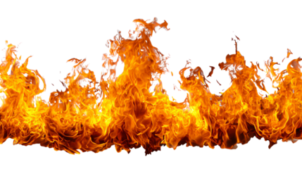 An intense display of flames in vibrant orange and yellow hues, dancing energetically against a transparent background, ideal for adding dramatic effects to various designs.