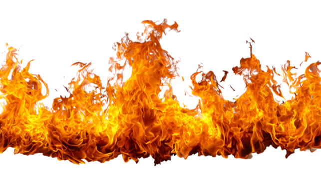 An intense display of flames in vibrant orange and yellow hues, dancing energetically against a transparent background, ideal for adding dramatic effects to various designs.