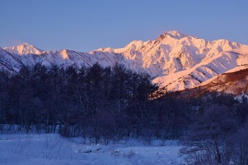 朝日に染まる白馬五竜岳