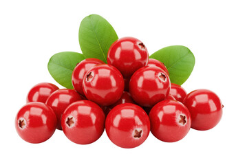 Isolated pile of fresh red cranberries with green leaves, ripe and juicy fruit ingredient