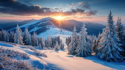 Obraz premium Winter Wonderland Sunrise Over Snowy Mountains and Pine Forest
