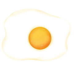 fried egg on a white background
