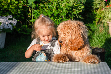 Little child girl sits at a table with her curly shaggy dog outdoor in summer © KseniaJoyg