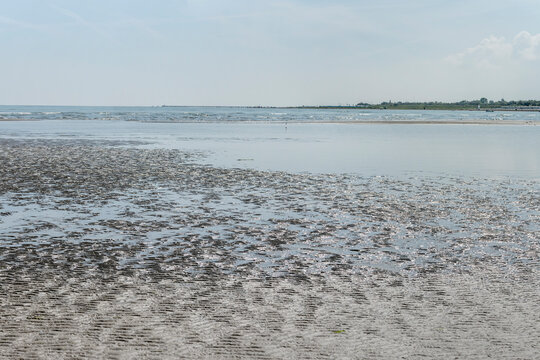 Adriatic shore with sand and shallow water and Albarella island in background , Porto Caleri beach, Italy