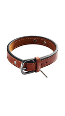 Tan leather dog collar with metal buckle and rivets