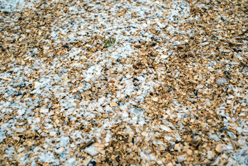 wood chips and snow
