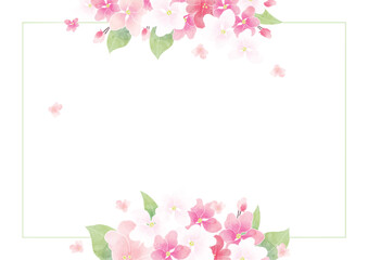 Apple blossom frame/background(vector)