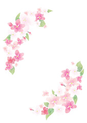 Apple blossom frame/background(vector)