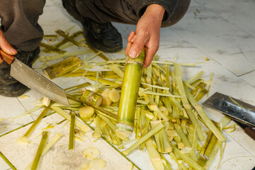 Fresh Sugar Cane Being Peeled and Prepared with Knife on White Surface