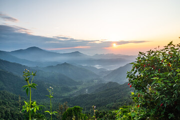 Again a new day, new beginning.