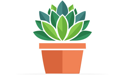 cactus in a pot isolated