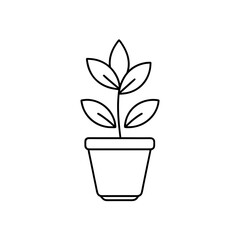 Plant with leaves in a pot on transparent background