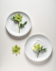 Minimalist composition featuring two white plates, each adorned with green hellebore flowers, one with a swirl of white sauce