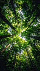 A captivating view upwards through tall trees with vibrant green leaves reaching for the sky, creating a sense of depth and perspective