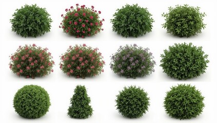 Various landscaping plants in diverse shapes and colors, displayed against a plain white background.