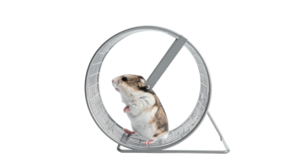 A small hamster runs inside a clear plastic exercise wheel on a metal stand against a black background