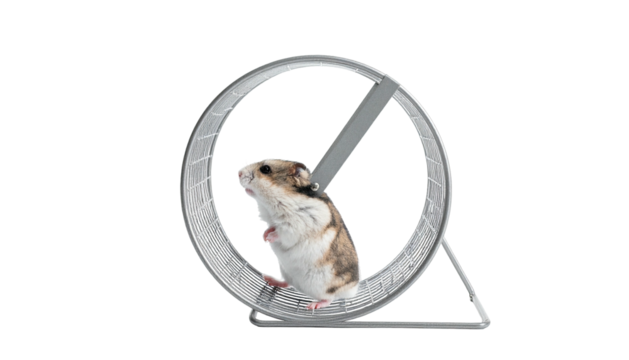 A small hamster runs inside a clear plastic exercise wheel on a metal stand against a black background