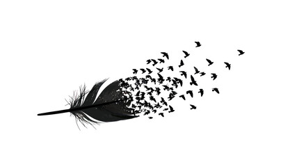 Artistic depiction of a feather transforming into a flock of birds against a plain background