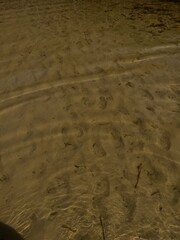 traces on sand underwater 