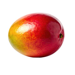 Obraz premium A single, ripe mango, predominantly red and yellow, displays a smooth skin with subtle color variations and highlights reflecting light