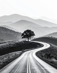 Winding road through misty mountains, lone tree (1)