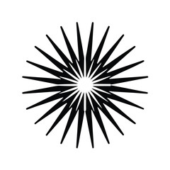 Fototapeta premium Fireworks With Sunburst Rays Icon