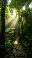 Obraz premium Sunlight streams through the trees illuminating a stone path in a lush green forest scene