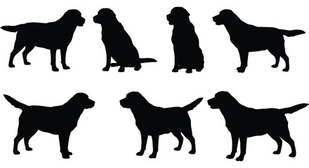 Silhouettes of various labrador retriever dogs in different poses shown