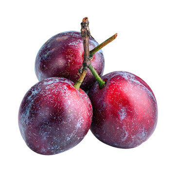 Karanda Carandas plum