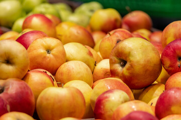 Red apples on display at bright grocery store aisle. Closeup shot of fresh red and yellow apples