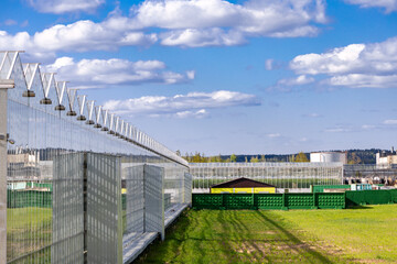 Obraz premium A close-up view of a glass greenhouse roof, showcasing the transparent panels and metal framework. The sunlight filters through, creating a bright and airy atmosphere.