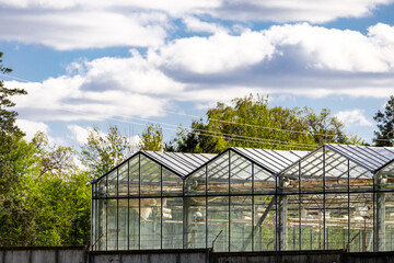 Obraz premium Greenhouse industrial exterior. Food farming industry with giant buildings. closeup of modern greenhouse complex against blue sky.