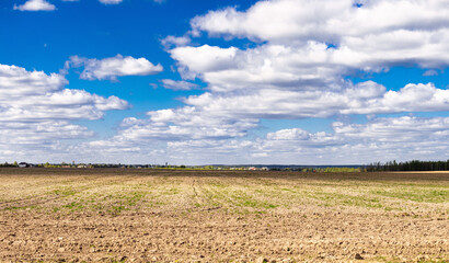 A vast field of plowed soil under a sky with scattered clouds. Expansive barren farmland under cloudy skies. © NastyaPhoto