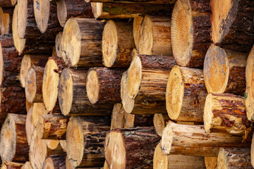 Stacked cut logs in a forest, neatly arranged for lumber processing. Sustainable forestry, natural wood texture. Closeup of logs of trees in nature. a lot of cutted logs.
