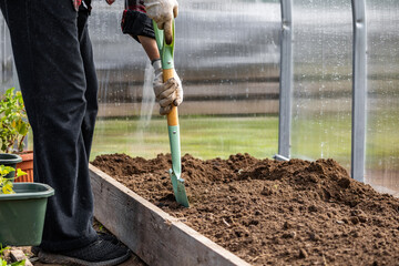 A farmer digs up the earth with a shovel in a greenhouse. A farmer is digging up a field with a...