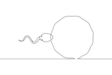Continuous one line drawing Sperm and female egg. Conception. .Line art.One continuous line isolated illustration.Not AI.