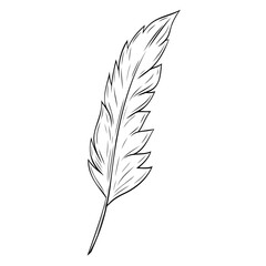 Beautiful feather ink graphic. Vector graphic illustration. Feather outline isolated on white.For the design of postcards, posters, stickers, prints, wrapping paper 