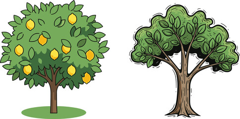 Lemon Tree and Non-Fruit Tree Comparison Vector Illustration with Green Leaves, Yellow Fruit, Botanical Structure, Nature Concept, Educational Plant Art