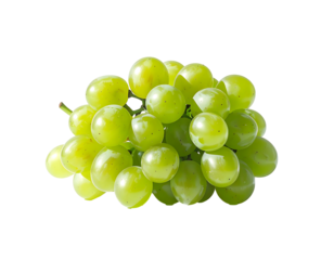 A cluster of pale green grapes, plump and glistening, sits against a black background; sunlight highlights their smooth skins